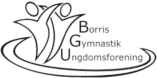 Borris Gymnastik og Ungdomsforening